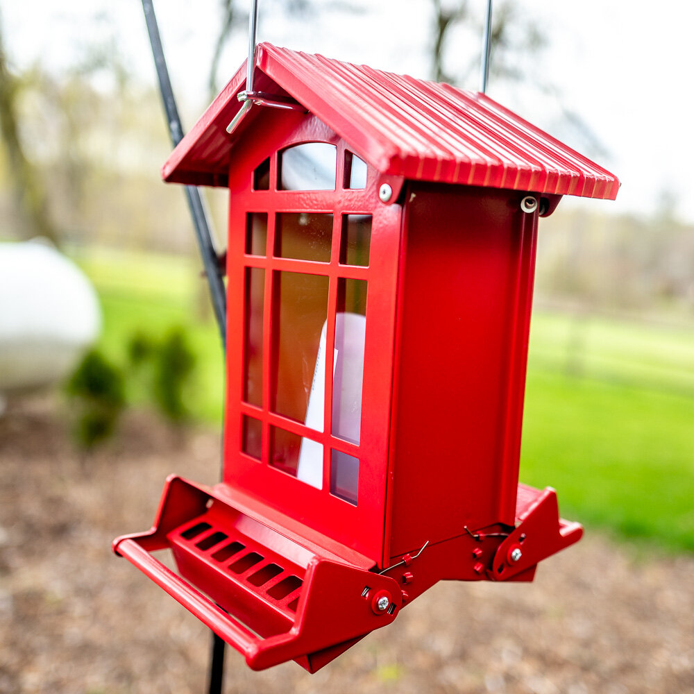 Chateau Squirrel Resistant Seed Feeder